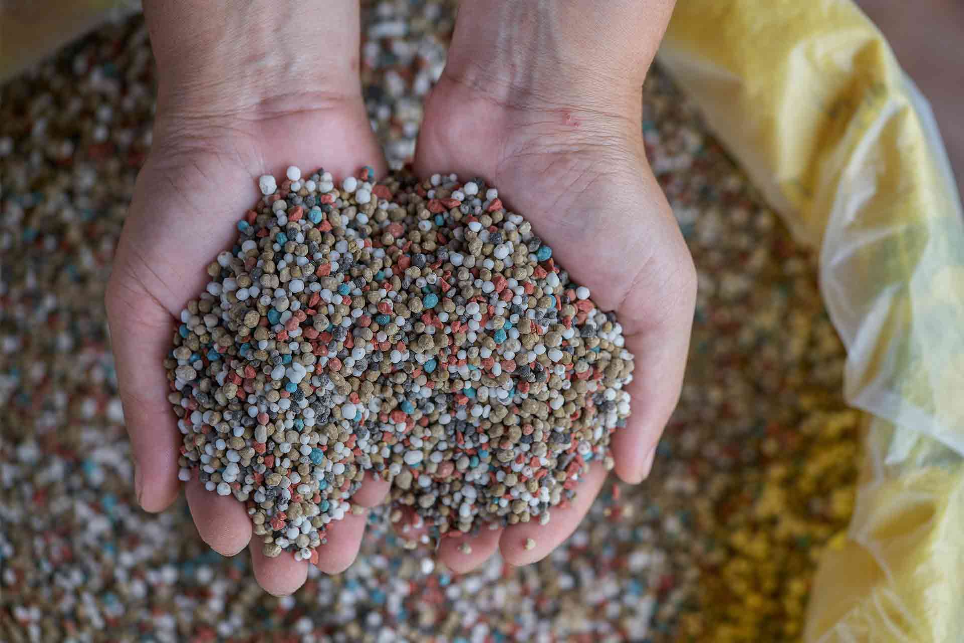 DAP – Di-Ammonium Phosphate